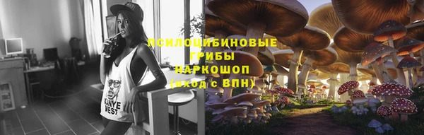 хмурый Кулебаки