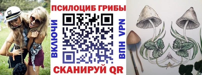 shop клад  цена наркотик  Самара  Галлюциногенные грибы MAGIC MUSHROOMS 
