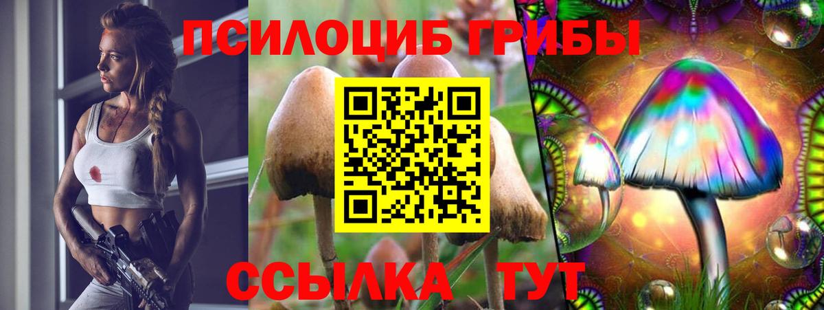 Галлюциногенные грибы GOLDEN TEACHER Самара