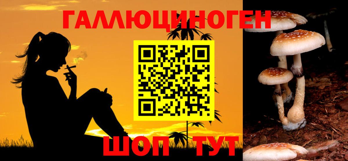 Самара  Псилоцибиновые грибы прущие грибы  Вход с VPN 
